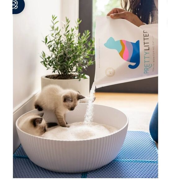 The PrettyLitter Linnea Open Cat Litter Box  minimalist white round bowl bed - Picture 2 of 11